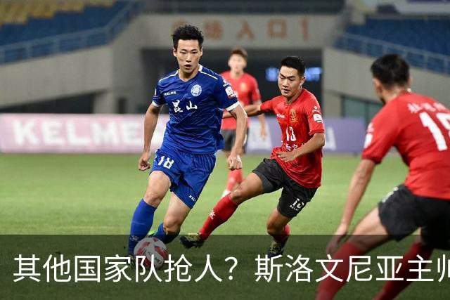 其他国家队抢人？斯洛文尼亚主帅：会在合适的时候召入托帕洛维奇